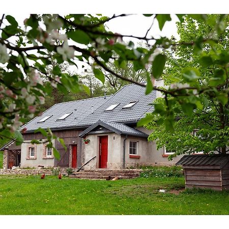 Kozy I Roze Villa Oldrzychowice Klodzkie ภายนอก รูปภาพ