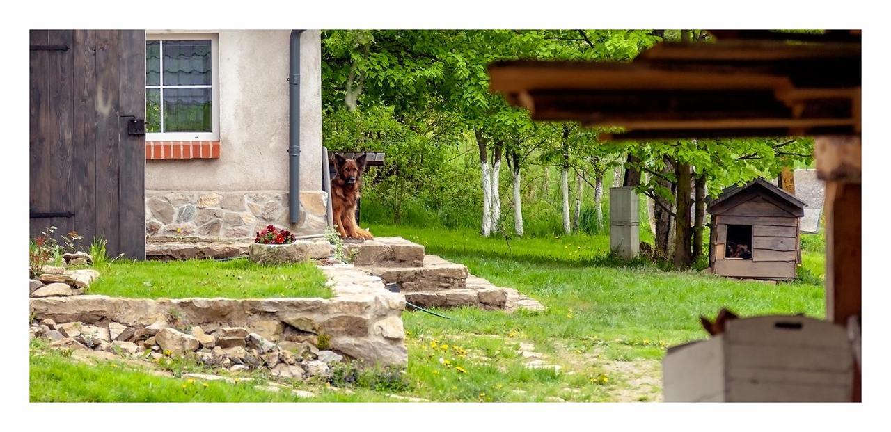 Kozy I Roze Villa Oldrzychowice Klodzkie ภายนอก รูปภาพ