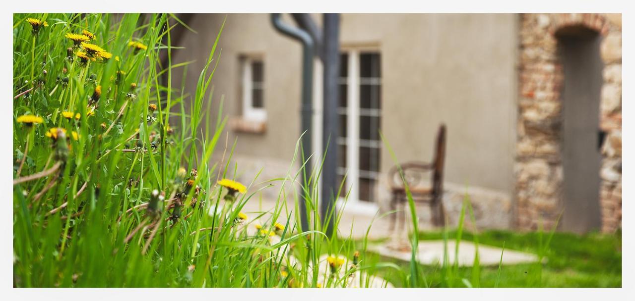 Kozy I Roze Villa Oldrzychowice Klodzkie ภายนอก รูปภาพ