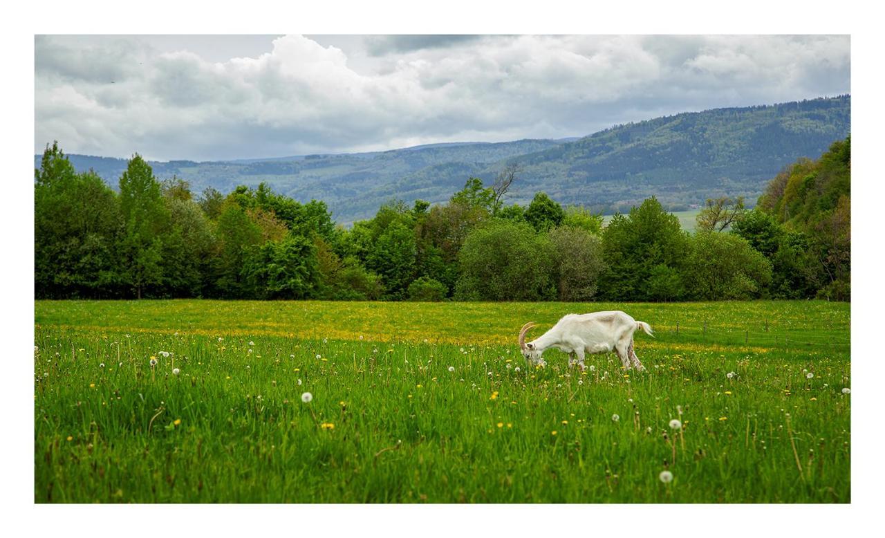 Kozy I Roze Villa Oldrzychowice Klodzkie ภายนอก รูปภาพ