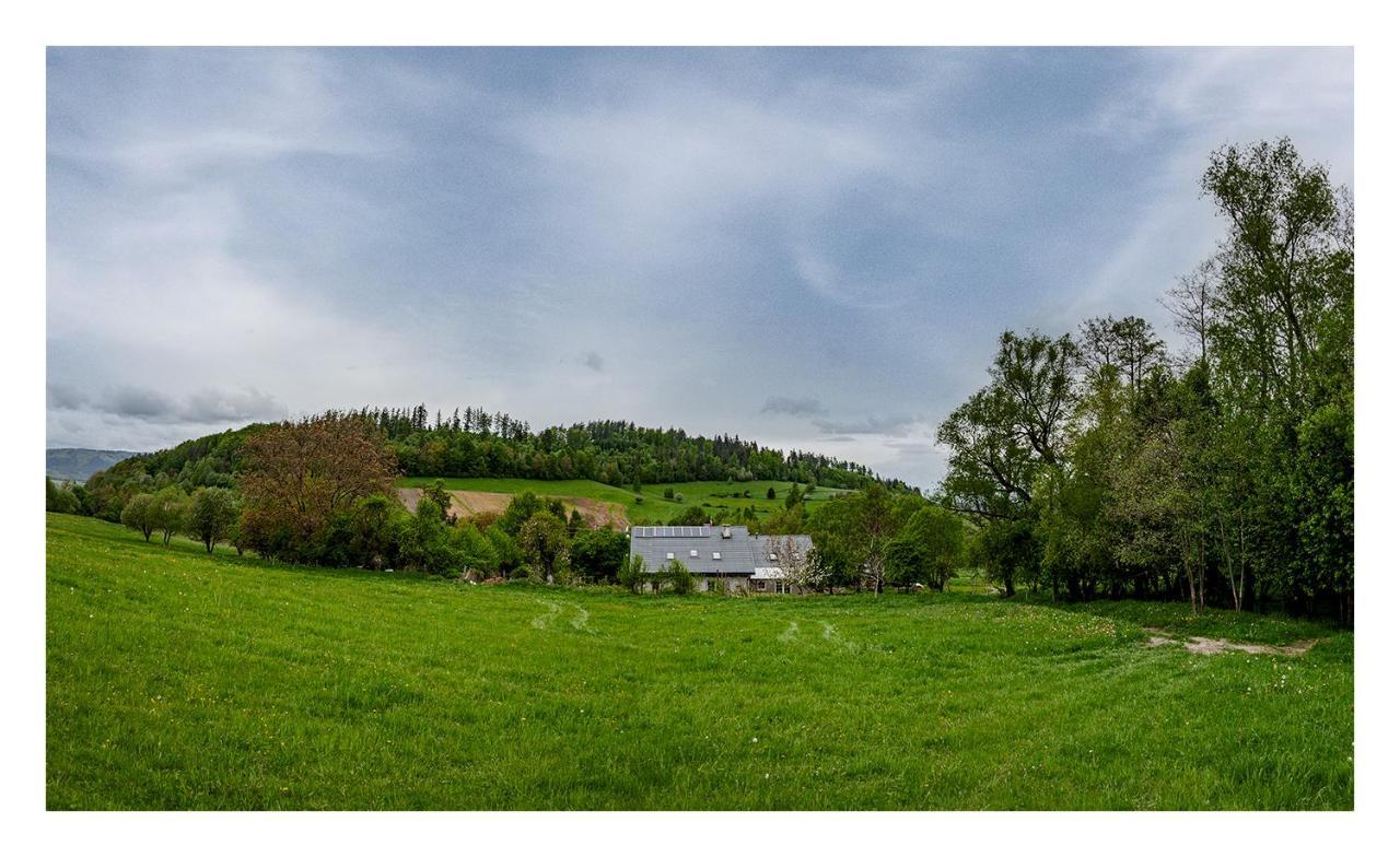 Kozy I Roze Villa Oldrzychowice Klodzkie ภายนอก รูปภาพ