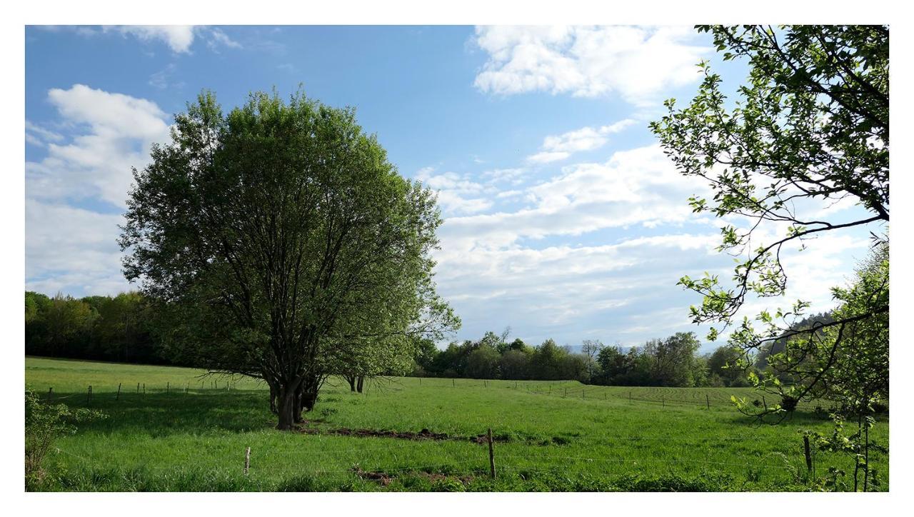 Kozy I Roze Villa Oldrzychowice Klodzkie ภายนอก รูปภาพ