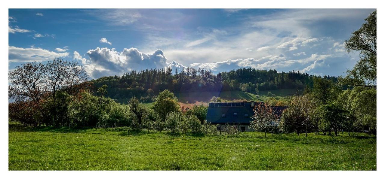 Kozy I Roze Villa Oldrzychowice Klodzkie ภายนอก รูปภาพ